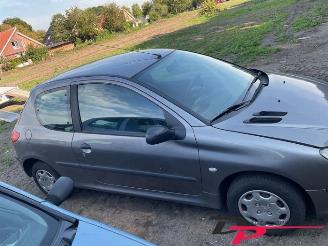 Peugeot 206 206 (2A/C/H/J/S), Hatchback, 1998 / 2012 1.1 XN,XR picture 4