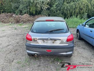 Peugeot 206 206 (2A/C/H/J/S), Hatchback, 1998 / 2012 1.1 XN,XR picture 6