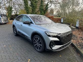 Audi Q4 Q4 e-tron Sportback 55 e-tron Quattro HUD 360view VOL picture 19