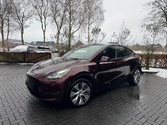 Voiture accidenté Tesla Model Y Tesla Model Y Long Range Dual AWD Panoramadak Camera Autopilot VOL 2024/3