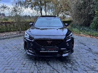 Cupra Formentor Formentor VZ5 2.5TFSI 4Drive 390pk Panorama Carbon VOL ! picture 24