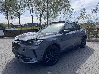 skadebil auto Cupra Formentor Formentor 1.5TSI Panorama Camera Leder Ambiance 2023/6