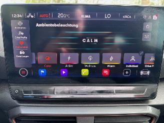 Cupra Formentor Formentor 1.5TSI Panorama Camera Leder Ambiance picture 28