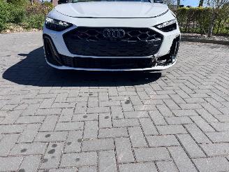 Audi S5 Audi S5 Avant TFSI quattro 270 kW Dual Screen Camera Massage VOL !! picture 21