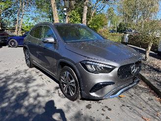 Mercedes GLA GLA 250 GLA GLA 250 e ACC Camera Ambiance VOL picture 11