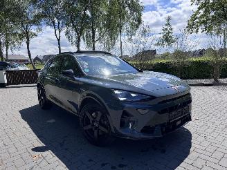 Auto incidentate Cupra Formentor Formentor VZ 2.0 TSI 333pk 4Drive PANORAMA 360view Akrapovic VOL! 2025/6