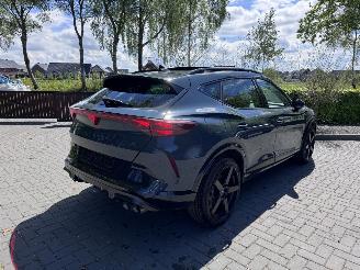 Cupra Formentor Formentor VZ 2.0 TSI 333pk 4Drive PANORAMA 360view Akrapovic VOL! picture 15