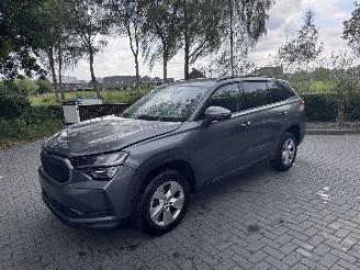 Schadeauto Skoda Kodiaq Skoda Kodiaq 1.5 TSI mHEV 150ps Selection Ambiance Trekhaak Leer VOL 2025/1