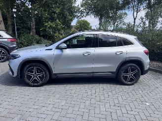 Mercedes EQA EQA 250+ AMG Panorama Camera Trekhaak Ambiance VOL picture 23