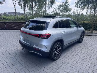 Mercedes EQA EQA 250+ AMG Panorama Camera Trekhaak Ambiance VOL picture 30