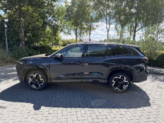 Volkswagen Tayron Volkswagen Tayron 1.5 TSI eHybrid 200 kW 2x R-Line PANO HUD picture 21