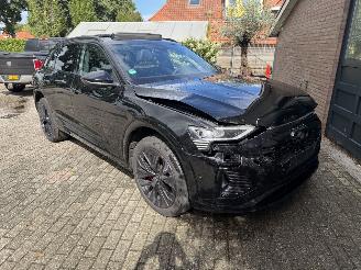 Audi Q8 Q8 e-tron 55 Quattro S line PANORAMADAK HUD VOLL picture 13