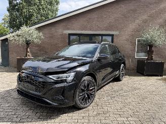Audi Q8 Q8 e-tron 55 Quattro S line PANORAMADAK HUD VOLL picture 23
