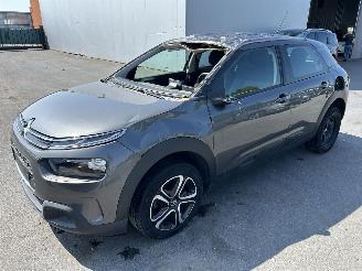 škoda osobní automobily Citroën C4 cactus  2020/2