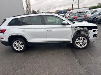 Skoda Karoq  picture 4