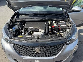 Peugeot 2008  picture 17