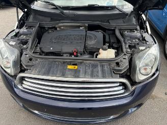 Mini Countryman  picture 11