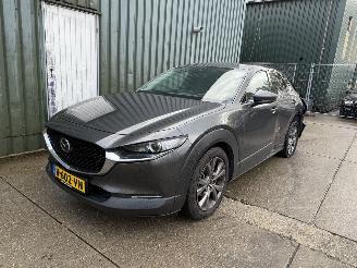 škoda osobní automobily Mazda CX-30 2.0 e-SkyActiv-X M Hybrid Luxury 2020/6