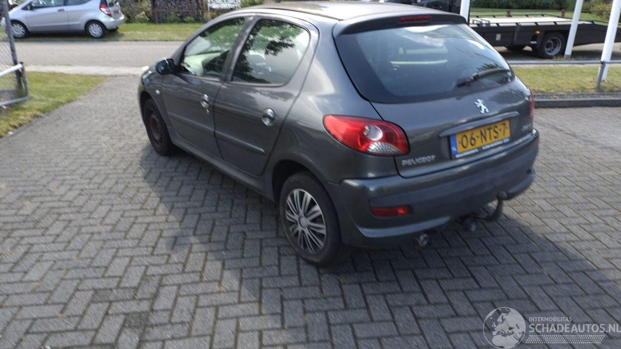 Peugeot 206+ distributieriem eraf gelopen