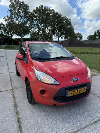 Ford Ka || Hatchback picture 2