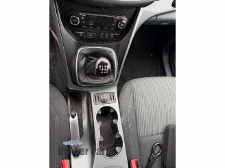 Ford Grand C-Max Grand C-Max (DXA), MPV, 2010 / 2019 1.0 Ti-VCT EcoBoost 12V 125 picture 12