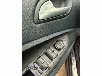 Ford Grand C-Max Grand C-Max (DXA), MPV, 2010 / 2019 1.0 Ti-VCT EcoBoost 12V 125 picture 13