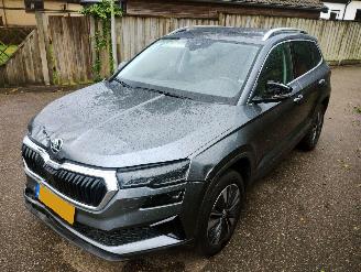 Voiture accidenté Skoda Karoq 1.5 TSI ACT Business Edition Plus 2023/3