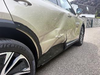 MG MG S6 EV Luxury 4WD 77 kWh 408 PK SPLINTER NIEUW picture 17