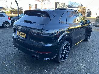 Porsche Cayenne 3.0 E-Hybrid Platinum Edition picture 6