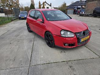  Volkswagen Golf 2.0 TFSI GTI 2008/7