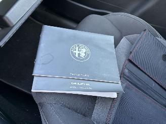 Alfa Romeo Giulietta 1.6 JTD - 16V TURBO MULTIJET picture 12