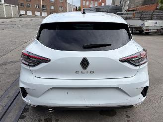 Renault Clio VAT CAR, NETTO PRICE 1.0i - 12V TURBO TCE 100 ECO-G picture 20