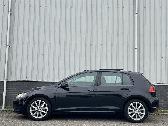 Volkswagen  1.4TSI Panorama picture 5