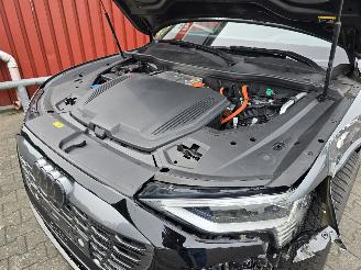 Audi Q8 E-TRON 114 kW aH picture 20