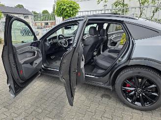 Audi Q8 E-TRON 114 kW aH picture 7