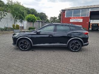 Cupra Formentor VZ 180 kW Hybride picture 21