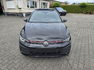 Volkswagen Golf Gti 195 kW Panorama IQ picture 11