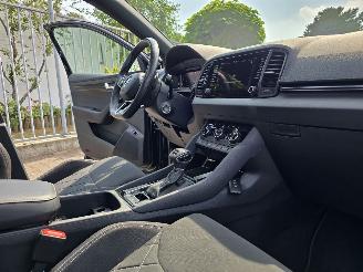 Skoda Karoq  picture 13