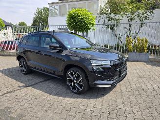 škoda osobní automobily Skoda Karoq  2024/2