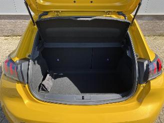 Peugeot 208 GT-Line Camera Led Apple Car Play picture 37