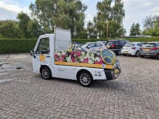 dommages autres Alle  cenntro centro  electrice 2020/6