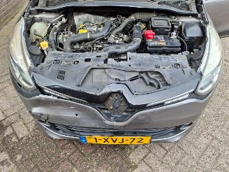 Renault Clio 0.9 tce  night  day   navi picture 7