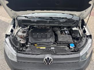 Volkswagen Caddy MODIFIED PARTITION WALL 2.0 TDI 55KW picture 18