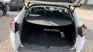 Renault Mégane 1.5 DCI AUTOMAAT SCHADE AAN DORPEL picture 12