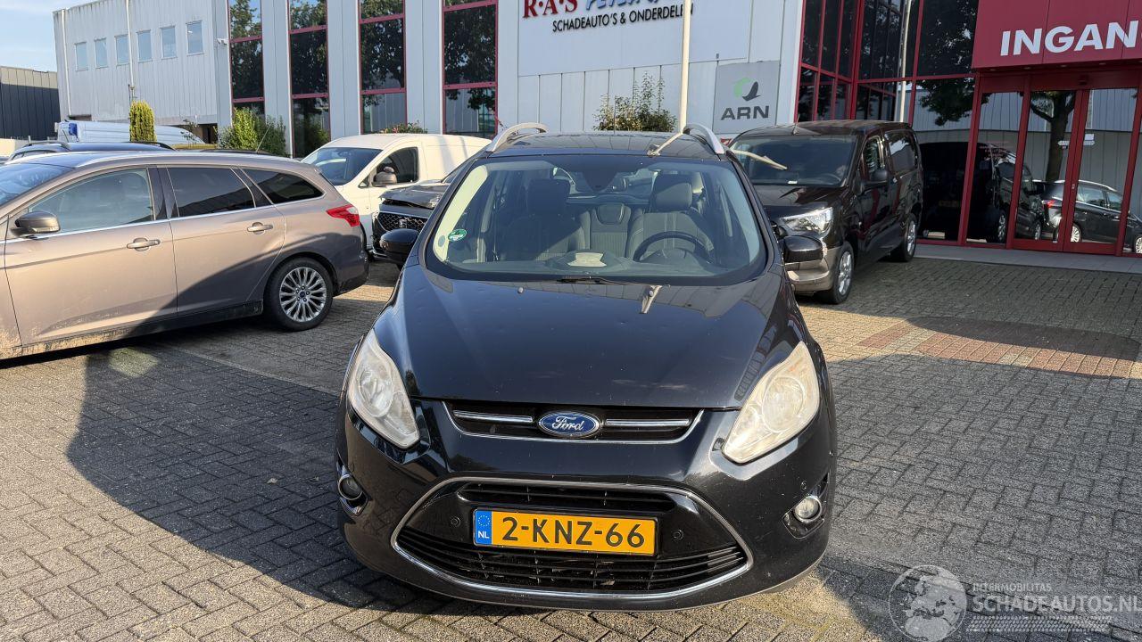 Ford Grand C-Max 1.0 TITANIUM HAGELSCHADE