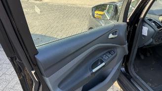 Ford Grand C-Max 1.0 TITANIUM HAGELSCHADE picture 14