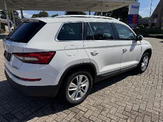 Skoda Kodiaq 1.5 TSi 150 Pk DSG.  7 Persoons Pano picture 12