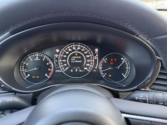 Mazda CX-30 2.5 MHEV 104 Kw Automaat Homura picture 32