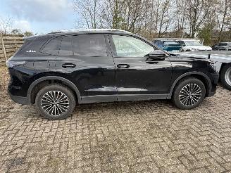 Volkswagen Tiguan 1.5 eTSi Goal picture 11