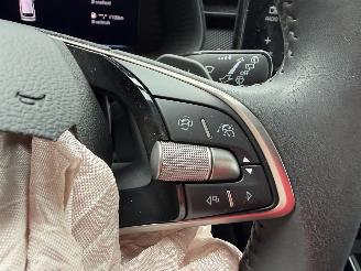 Skoda Kamiq Business picture 21